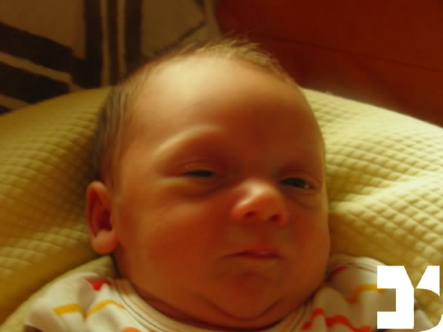 Yuki - 20090831 18.54 - 22 giorni - 426-FDM.JPG